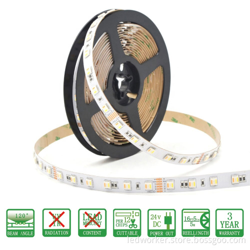 Shenzhen Factory Price DC24V 5in1 5050SMD Innovative Flexible LED Strip